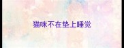 猫咪不在垫上睡觉