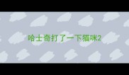 哈士奇打了一下猫咪