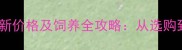 纯拉布拉多幼犬最新价格及饲养全攻略从选购到养宠的完整指南