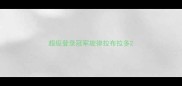 超级登录冠军旋律拉布拉多