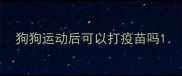 狗狗运动后可以打疫苗吗