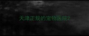 天津正规的宠物医院