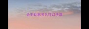 金毛幼崽多久可以洗澡