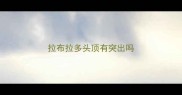 拉布拉多头顶有突出吗