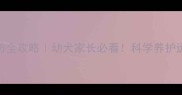 边牧细小预防全攻略幼犬家长必看科学养护远离致命病毒