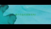 俩个月金毛能剃毛吗
