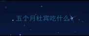五个月杜宾吃什么