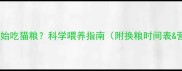 幼猫多大开始吃猫粮科学喂养指南附换粮时间表营养禁忌