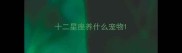 十二星座养什么宠物