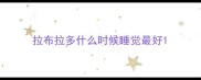 拉布拉多什么时候睡觉最好