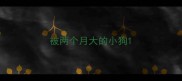 被两个月大的小狗