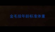 金毛按年龄标准体重