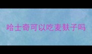 哈士奇可以吃麦麸子吗