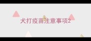犬打疫苗注意事项
