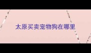 太原买卖宠物狗在哪里