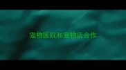 宠物医院和宠物店合作