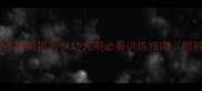 金毛vs拉布拉多智商排名幼犬期必看训练指南附科学喂养秘籍