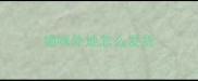 猫咪外地怎么发货