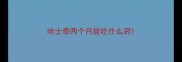 哈士奇两个月能吃什么药