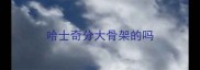 哈士奇分大骨架的吗