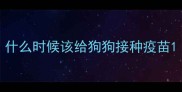 什么时候该给狗狗接种疫苗