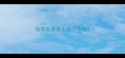拉布拉多头上长了个包