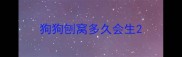 狗狗刨窝多久会生