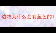 边牧为什么会有蓝色的
