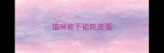 猫咪能不能吃皮蛋