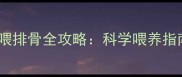 5个月萨摩耶喂排骨全攻略科学喂养指南与营养误区