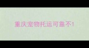 重庆宠物托运可靠不