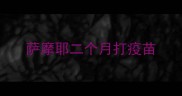 萨摩耶二个月打疫苗