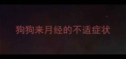 狗狗来月经的不适症状