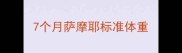 7个月萨摩耶标准体重