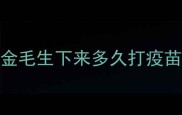 金毛生下来多久打疫苗