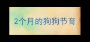 2个月的狗狗节育