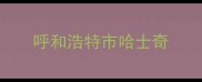 呼和浩特市哈士奇