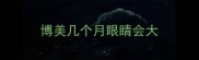 博美几个月眼睛会大