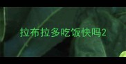 拉布拉多吃饭快吗