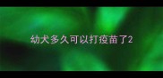 幼犬多久可以打疫苗了