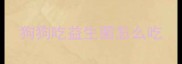 狗狗吃益生菌怎么吃