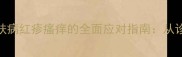 边境牧羊犬反复发作性皮肤病红疹瘙痒的全面应对指南从诊断到康复的7天改善方案