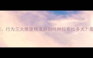 如何从外观血统行为三大维度精准辨别纯种拉布拉多犬最新犬种识别指南