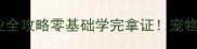 宠物美容师高薪就业全攻略零基础学完拿证宠物美容培训行业真相大