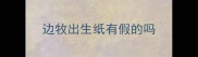 边牧出生纸有假的吗