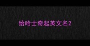 给哈士奇起英文名
