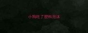 小狗吃了塑料泡沫