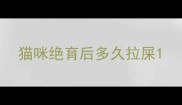 猫咪绝育后多久拉屎