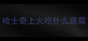 哈士奇上火吃什么蔬菜