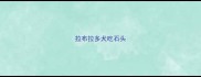 拉布拉多犬吃石头